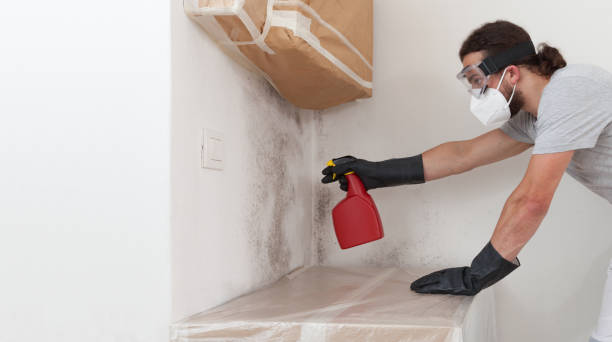 Professional Crawl Space Mold Remediation technician working in Curwensville, PA